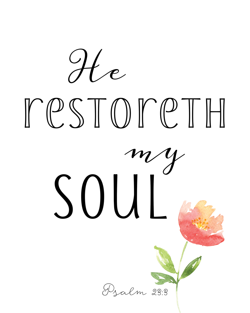 he restoreth my soul